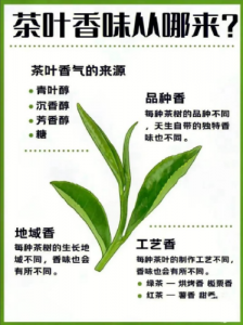 茶叶香藏在哪?3 个核心原因揭开茶香秘密-茶之家