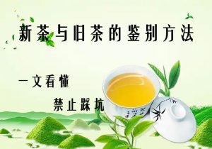 新茶老茶一眼辨?4 个核心鉴别法,不踩做旧坑!-茶之家