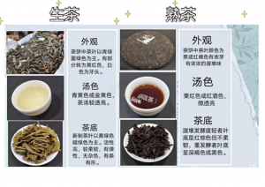 十大名茶鉴别秘籍：干茶 + 茶汤 + 叶底，三步辨正宗-茶之家