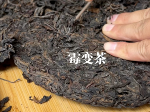 茶叶发霉能喝吗？3 类霉变 + 健康风险 + 正确处理指南-茶之家