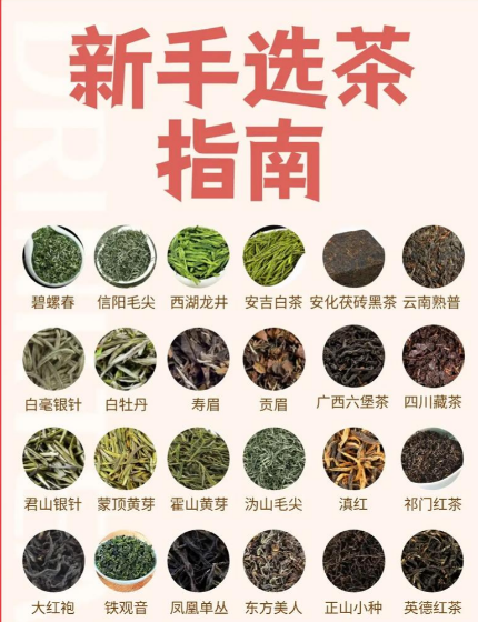 名茶不踩坑！一眼识破真假好坏，核心鉴别技巧全在这-茶之家