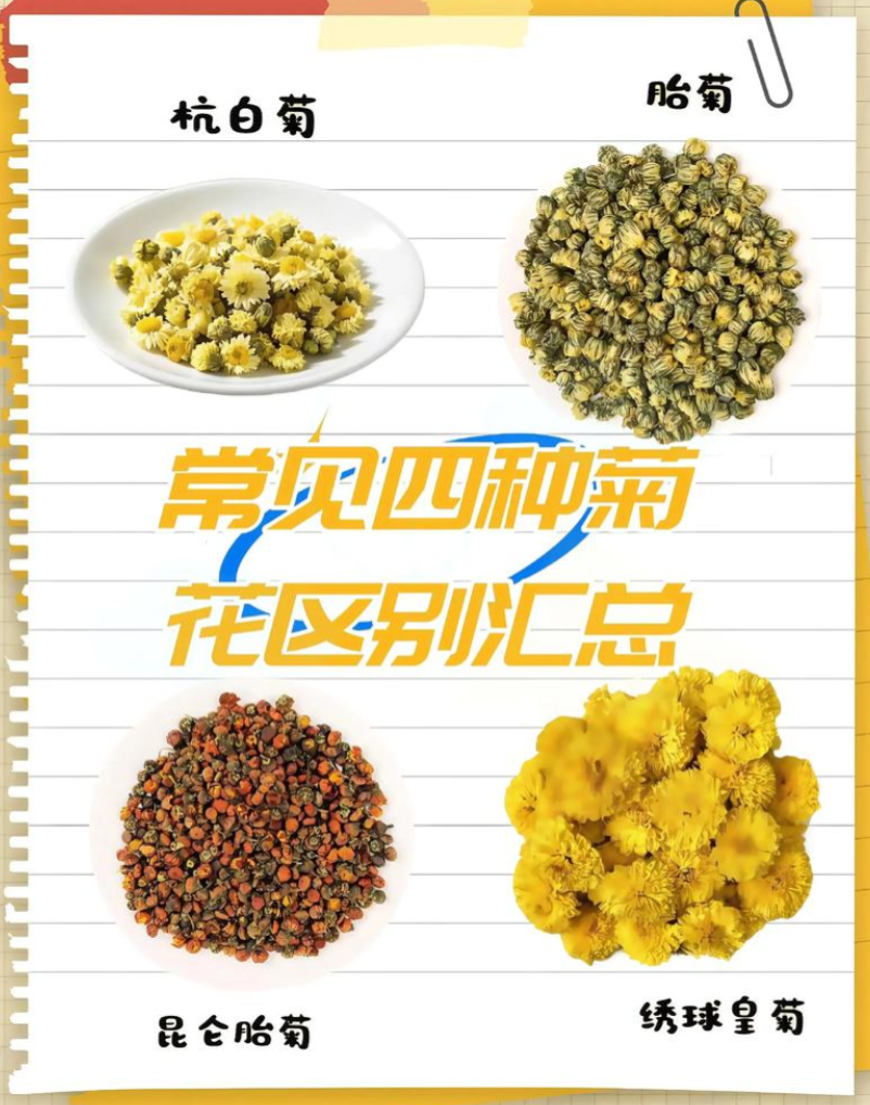 菊花茶怎么分好坏？老茶农教你一眼辨别真假优劣-茶之家
